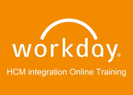 workday-hcm-integration-online-training