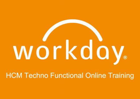 workday-hcm-techno-functional-online-training